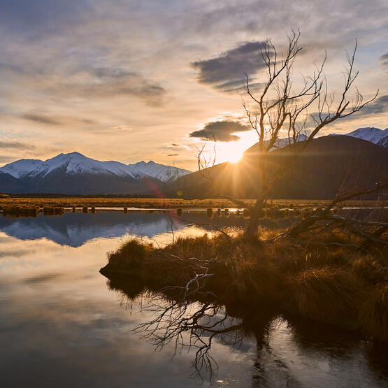 Landscapes