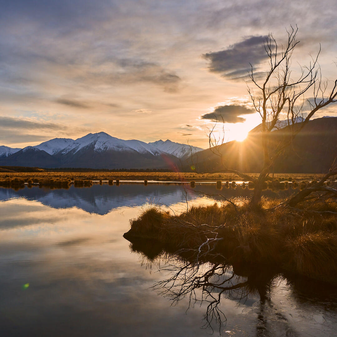 landscapes